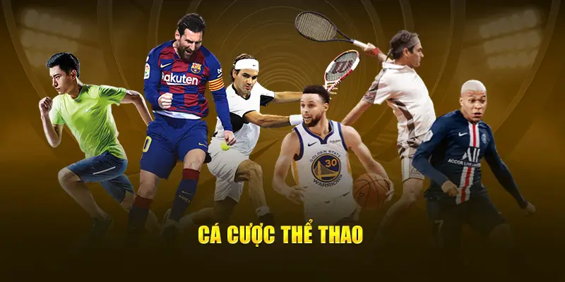 Tìm Hiểu Kinh Nghiệm Tham Gia Thể Thao King88