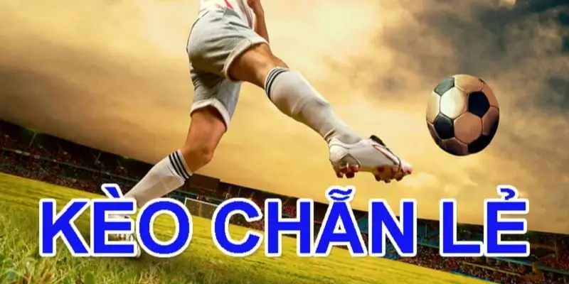 King88 hướng dẫn cách đọc kèo chẵn lẻ chi tiết 